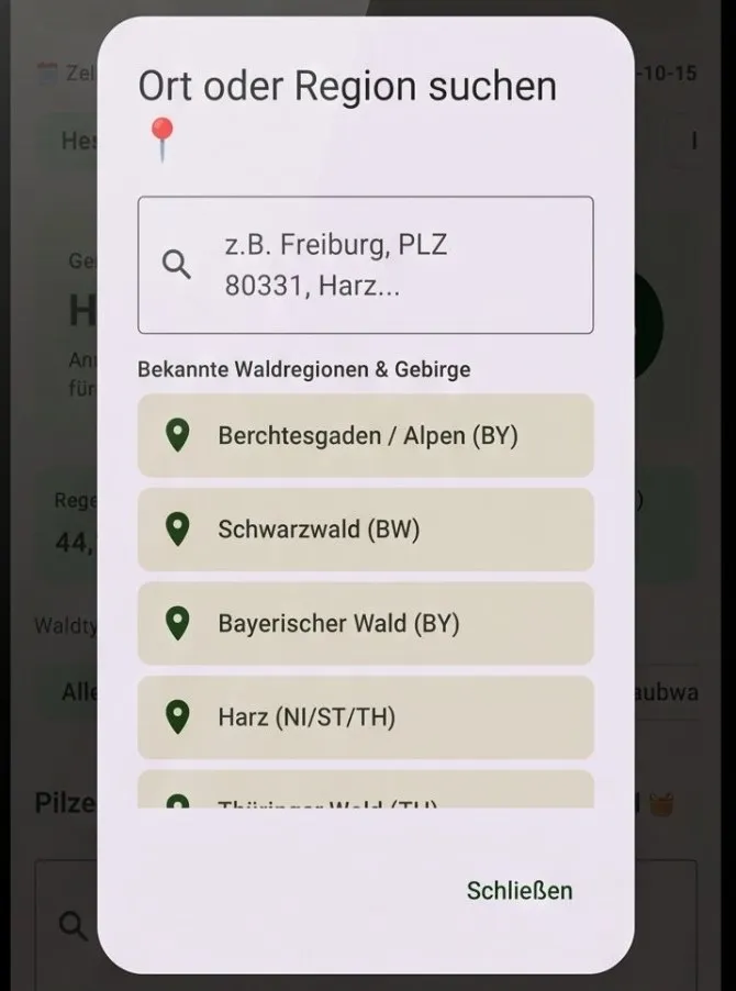 Ort wählen – Screenshot
